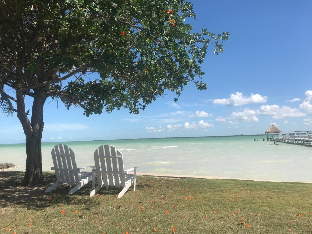 Tilt-Ta-Dock Resort Belize Corozal Exteriér fotografie